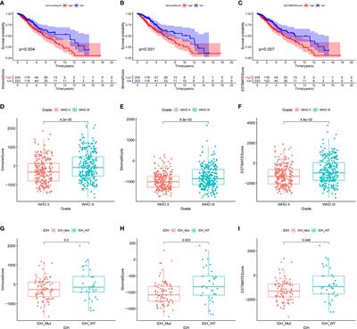 Immune-Related Gene SERPINE1 Is a Novel Biomarker for Diffuse Lower-Grade Gliomas via Large-Scale Analysis